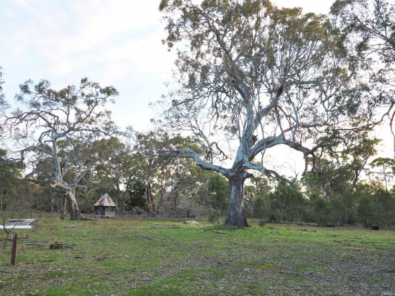 0 Lynchs Crossing Road, Bornes Hill VIC 3379