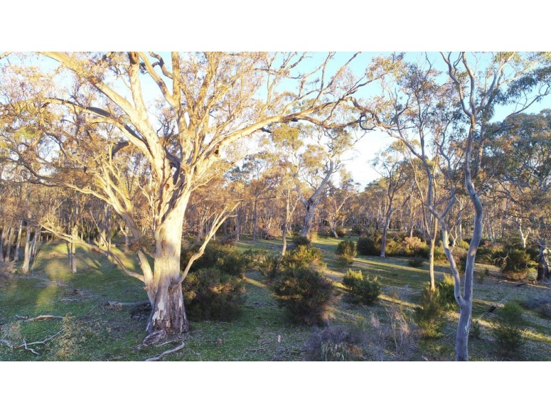 0 Lynchs Crossing Road, Bornes Hill VIC 3379