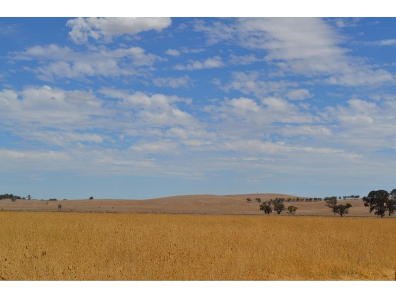 Lot 1 Eurambean Streatham Road, Beaufort VIC 3373