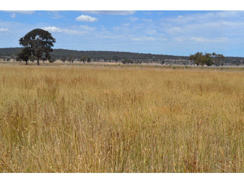 Lot 1 Eurambean Streatham Road, Beaufort VIC 3373