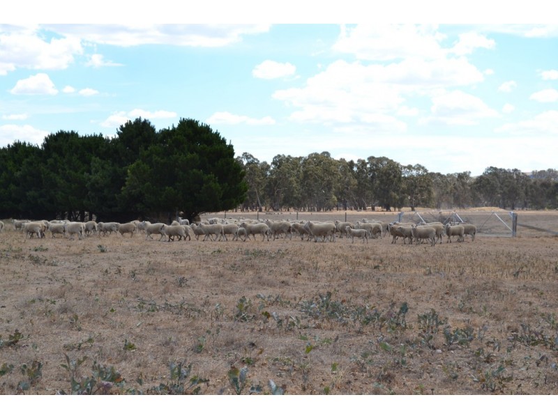 0 Aherns Road,, Middle Creek VIC 3375