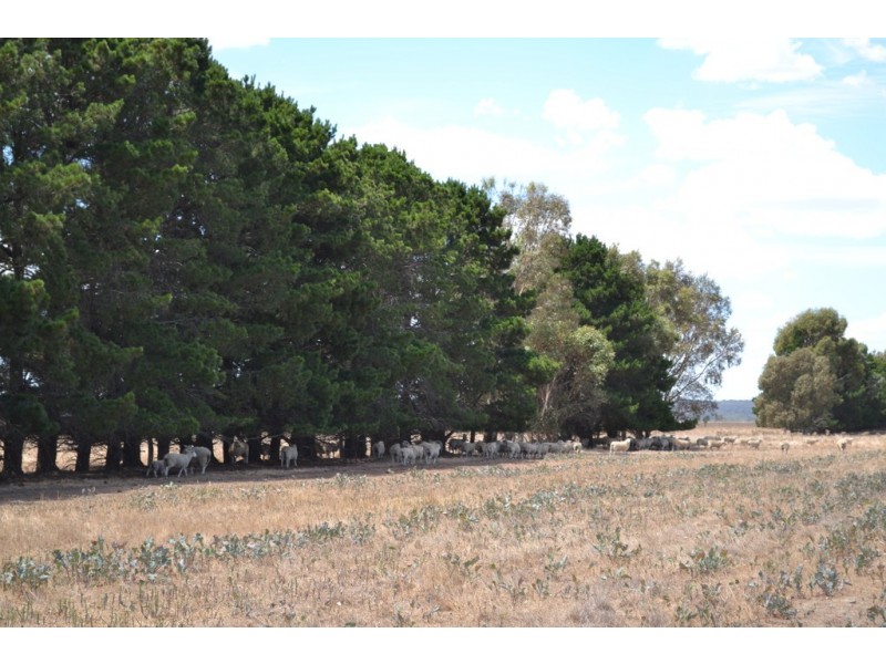 0 Aherns Road,, Middle Creek VIC 3375