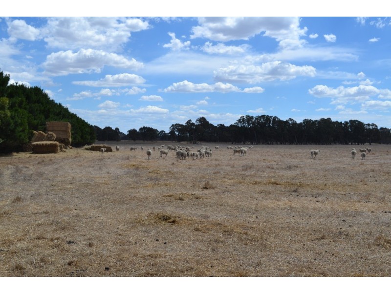 0 Aherns Road,, Middle Creek VIC 3375