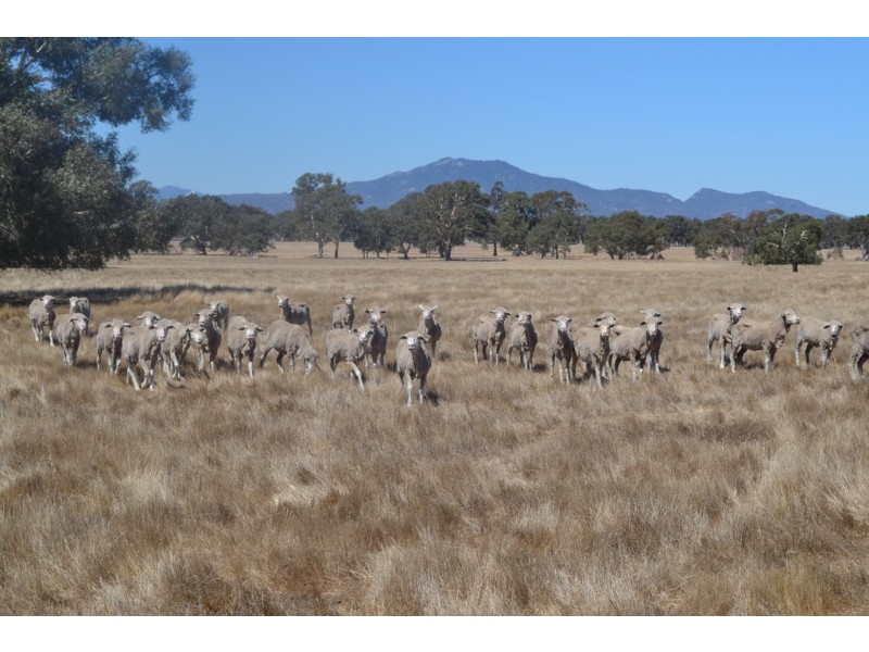 0 Down Road, Ararat VIC 3377