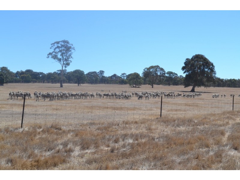 0 Down Road, Ararat VIC 3377