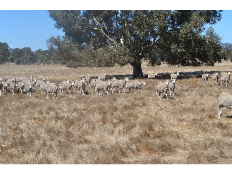 0 Down Road, Ararat VIC 3377