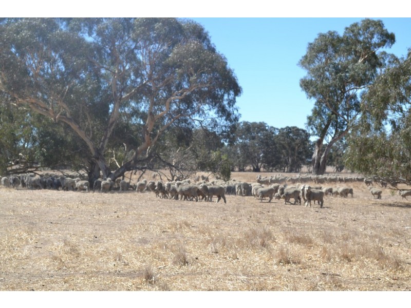 0 Down Road, Ararat VIC 3377