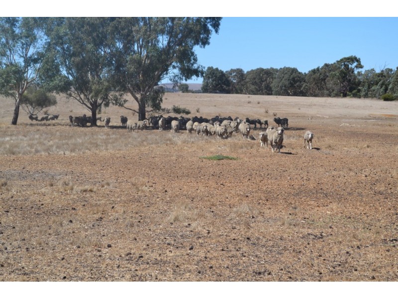 0 Down Road, Ararat VIC 3377