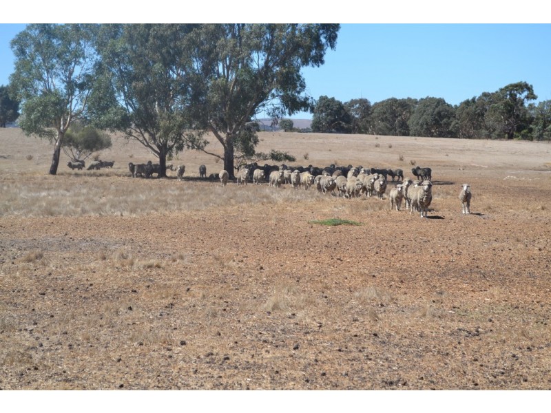 0 Down Road, Ararat VIC 3377