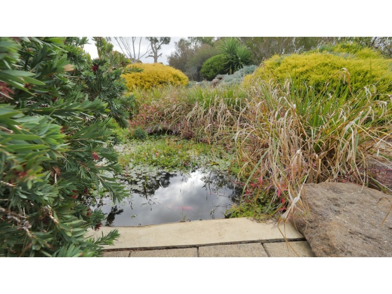 258 Gluepot Rd, Pomonal VIC 3381