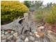 258 Gluepot Rd, Pomonal VIC 3381