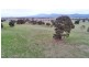 258 Gluepot Rd, Pomonal VIC 3381