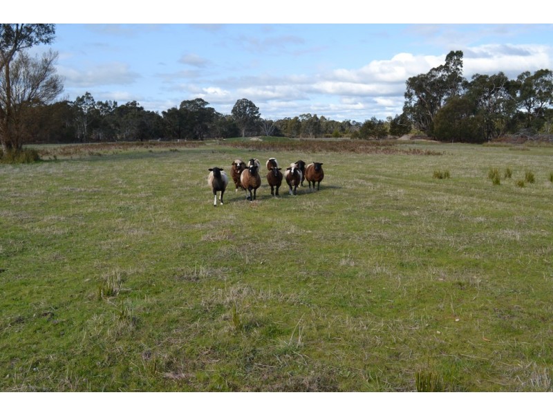 Lot 2/788 Moyston Dunkeld Road, Moyston VIC 3377