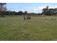 Lot 2/788 Moyston Dunkeld Road, Moyston VIC 3377