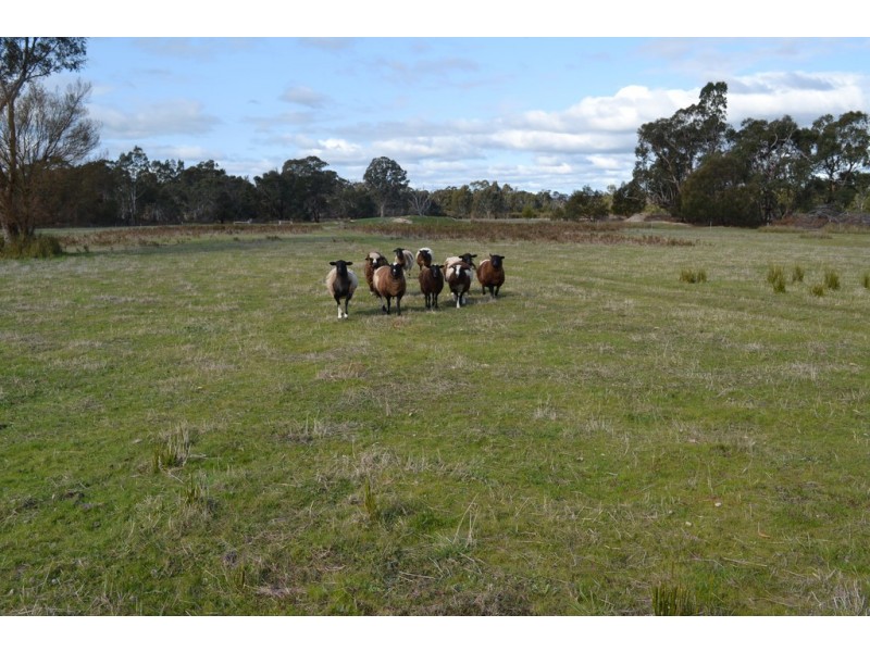Lot 2/788 Moyston Dunkeld Road, Moyston VIC 3377