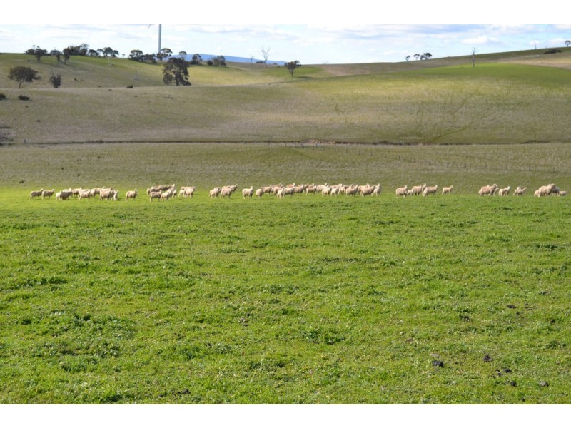 0 Warrak Road, Ararat VIC 3377