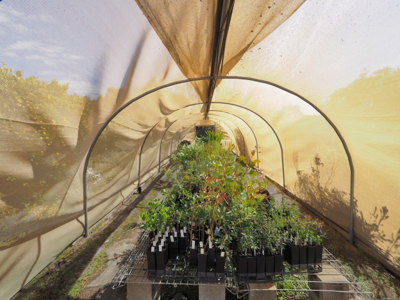 187 Long Gully Road, Pomonal VIC 3381