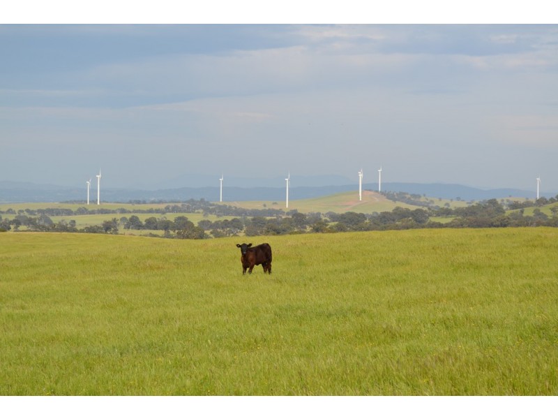 0 Big Hill Road, Warrak VIC 3377