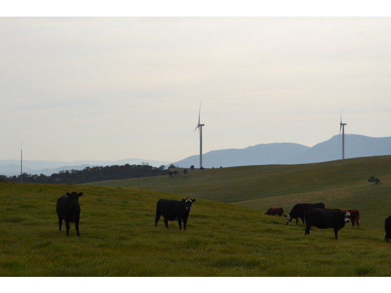 0 Big Hill Road, Warrak VIC 3377