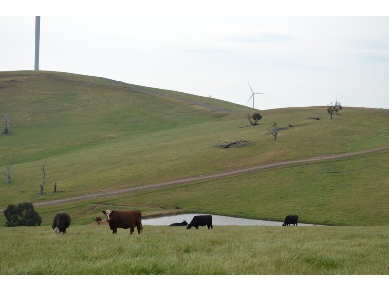 0 Big Hill Road, Warrak VIC 3377