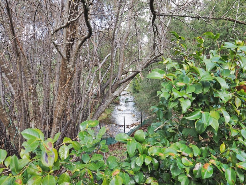 89 Grampians Road, Halls Gap VIC 3381