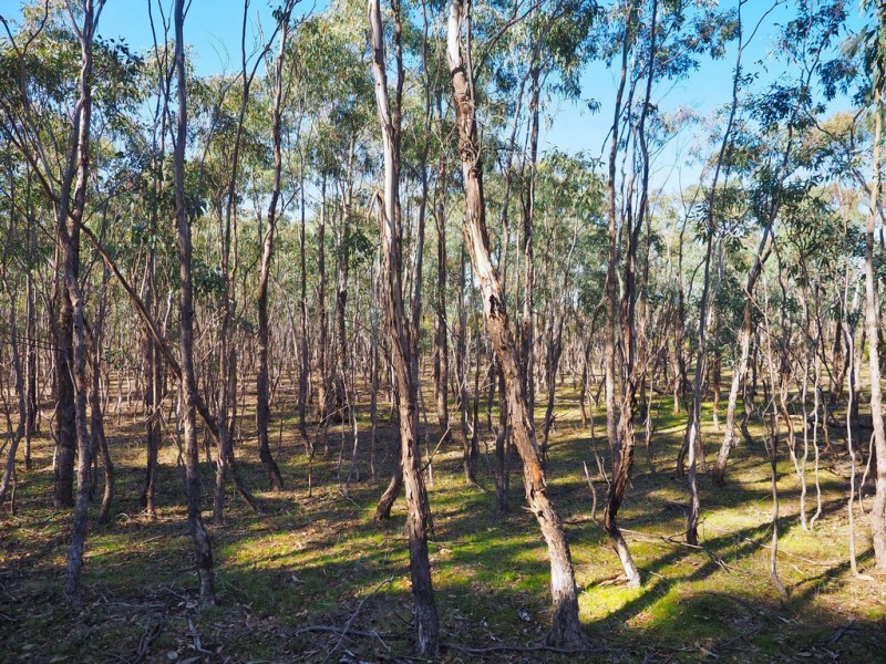 0 Morgan Road, Moyston VIC 3377