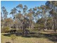 0 Morgan Road, Moyston VIC 3377