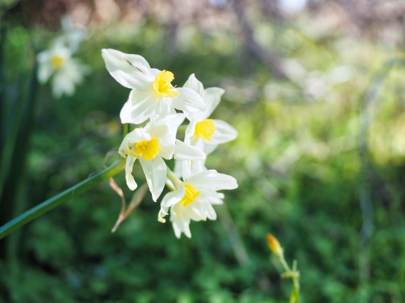 0 Morgan Road, Moyston VIC 3377