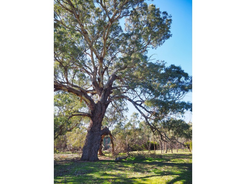 0 Morgan Road, Moyston VIC 3377