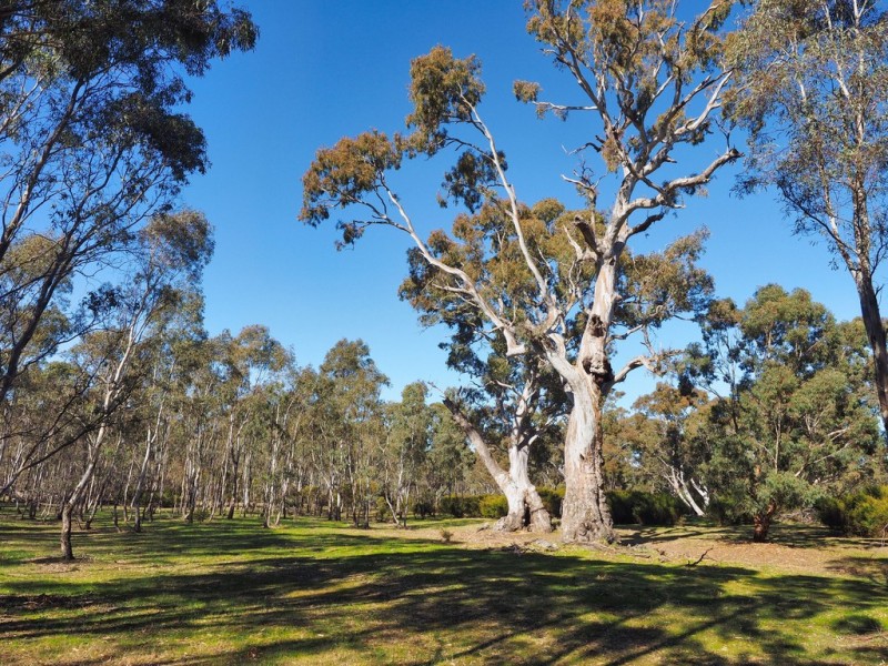 0 Morgan Road, Moyston VIC 3377