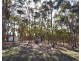 Lot 25 Landsborough Road, Landsborough VIC 3384