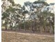 Lot 25 Landsborough Road, Landsborough VIC 3384