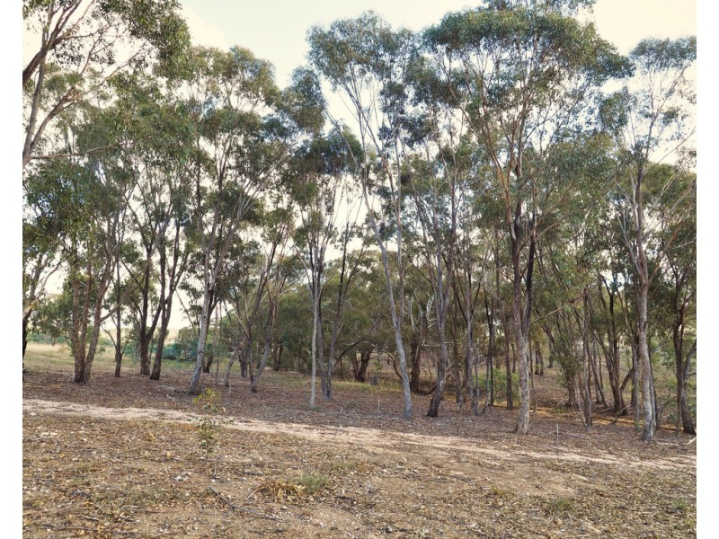 Lot 25 Landsborough Road, Landsborough VIC 3384