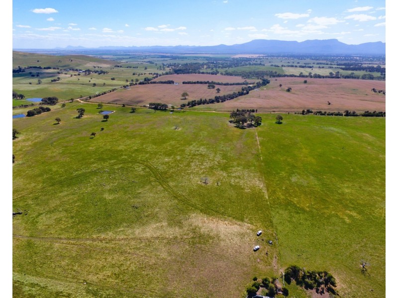 - Shannon Road, Willaura North VIC 3379