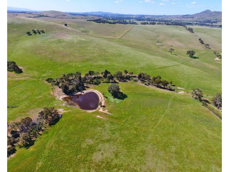 - Shannon Road, Willaura North VIC 3379