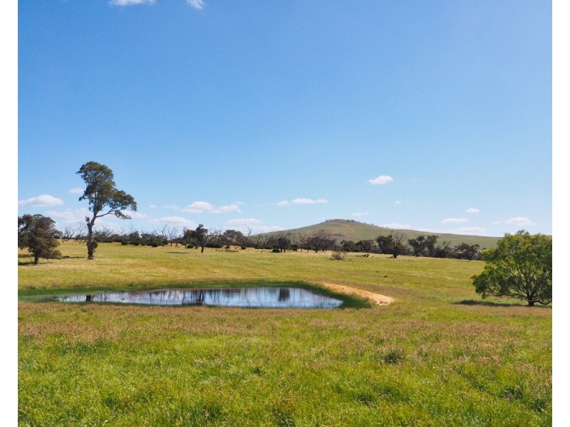 - Shannon Road, Willaura North VIC 3379