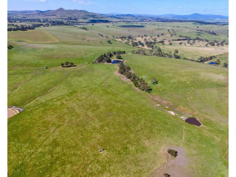 - Shannon Road, Willaura North VIC 3379