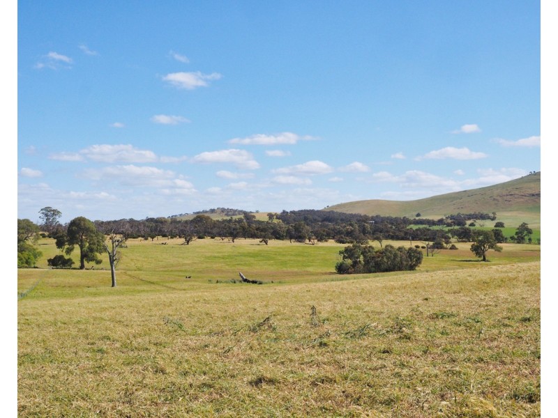 - Shannon Road, Willaura North VIC 3379