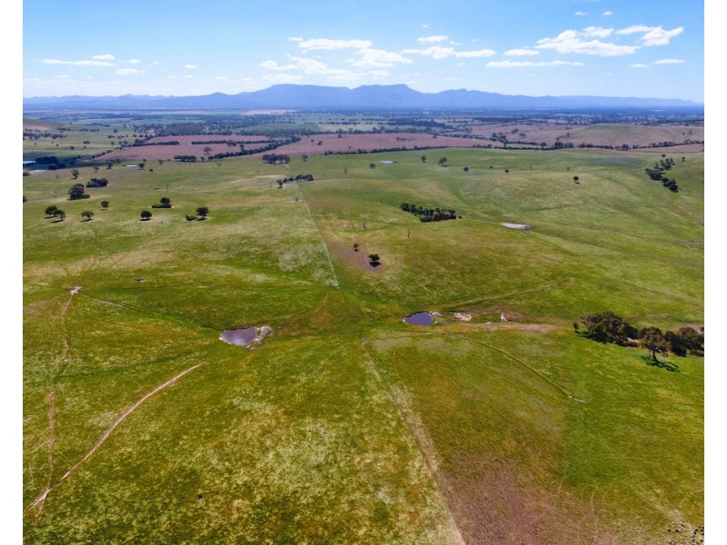 - Shannon Road, Willaura North VIC 3379