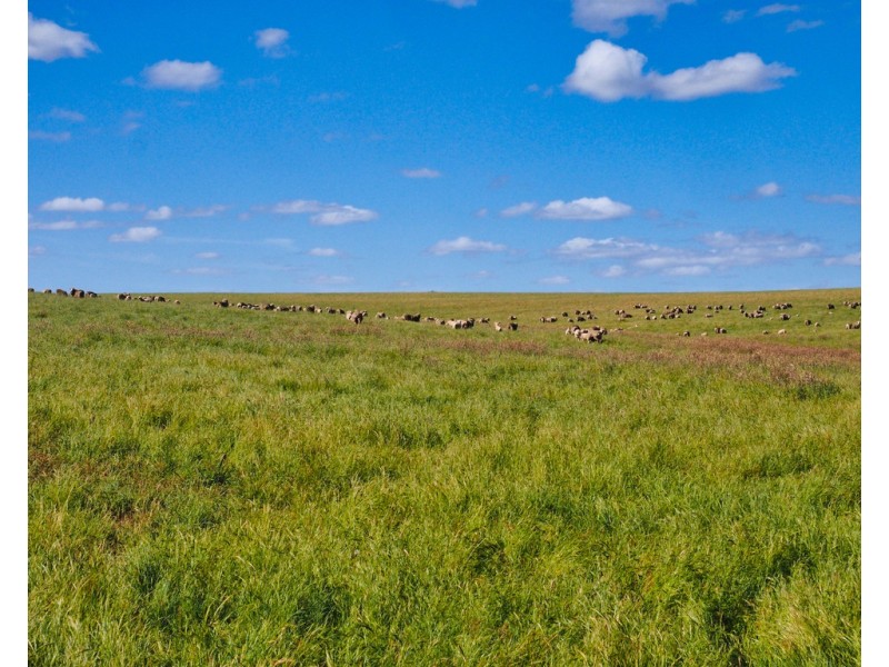 - Shannon Road, Willaura North VIC 3379