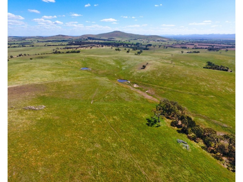 - Shannon Road, Willaura North VIC 3379