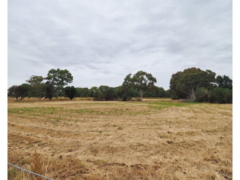 16 Walton Street, Streatham VIC 3351