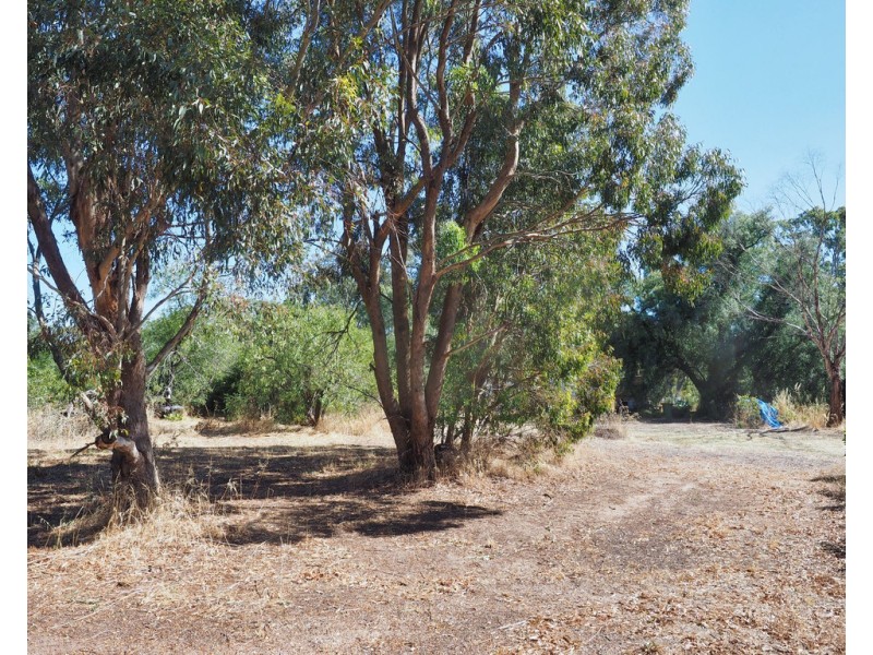 49 High Street, Elmhurst VIC 3469