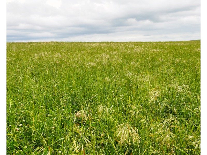 - Narrapumelap Road, Wickliffe VIC 3379