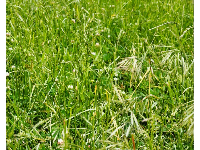 - Narrapumelap Road, Wickliffe VIC 3379