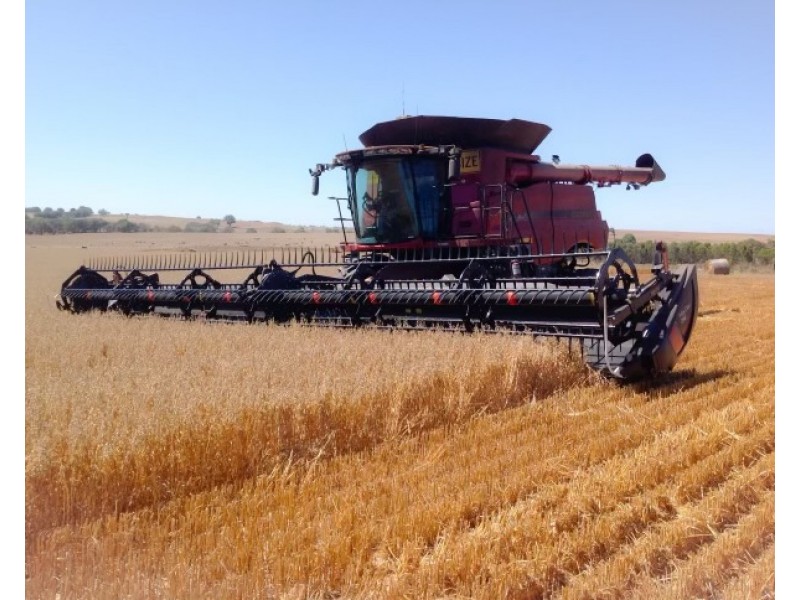 - Narrapumelap Road, Wickliffe VIC 3379