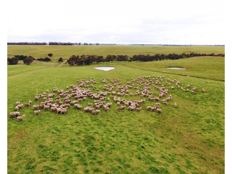 - Narrapumelap Road, Wickliffe VIC 3379