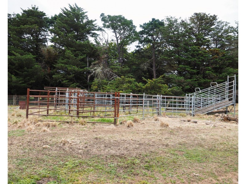 - Narrapumelap Road, Wickliffe VIC 3379