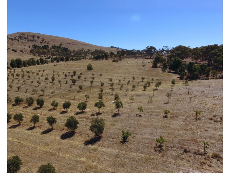 Lot 20 Rifle Butts Road, Landsborough VIC 3384