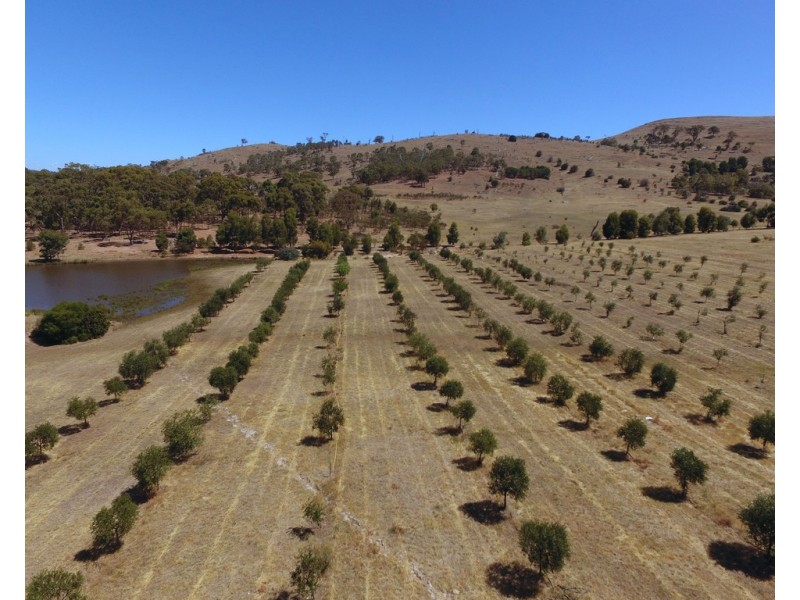 Lot 20 Rifle Butts Road, Landsborough VIC 3384